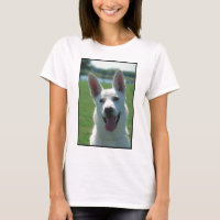 White German Shepherd Dog