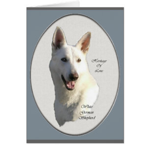 White German Shepherd Gifts