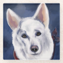 WHITE GERMAN SHEPHERD