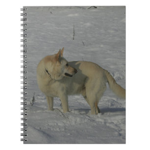 White German Shepherd  in the Snow Notebook