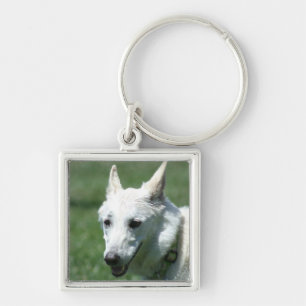 White German Shepherd Key Ring