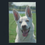 White German Shepherd Kitchen Towel<br><div class="desc">Perfect for homes or dog salons too.</div>