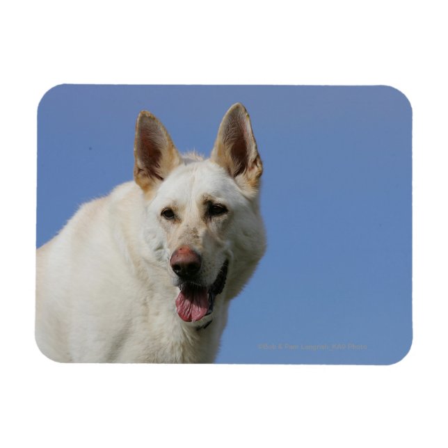 White German Shepherd Magnet (Horizontal)