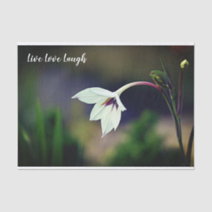 White Gladiolus Garden Flower Motivational Tissue Paper