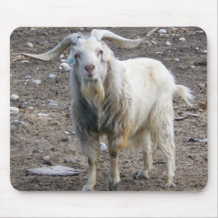 White Goat Standing Mouse Mat