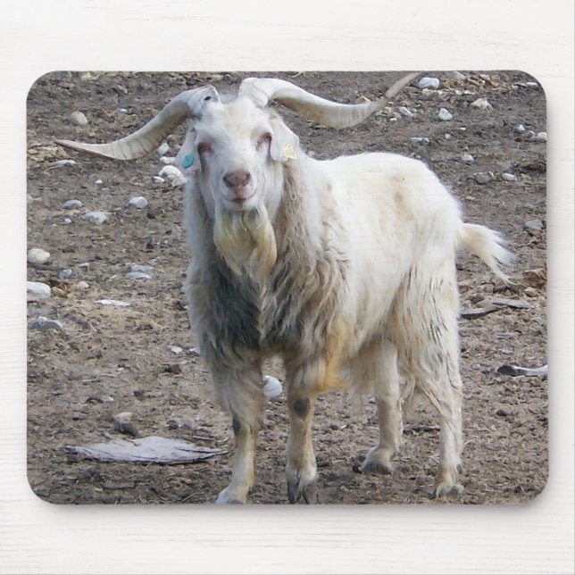 White Goat Standing Mouse Mat (Front)