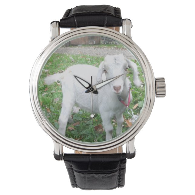 White Goat Watch (Front)