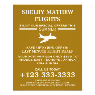 White & Gold Plane Icon, Airline Advertising Flyer