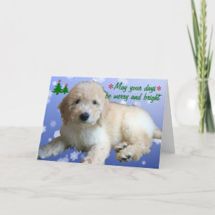 White Golden Doodle Christmas Holiday