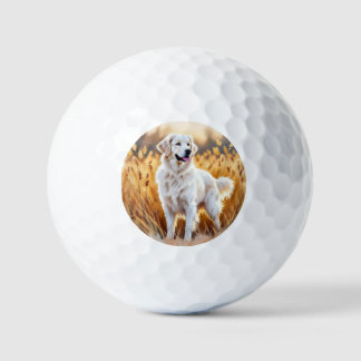 White Golden Retriever Dog Golf Balls
