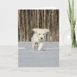 White Golden Retriever Puppy in Snow Card
