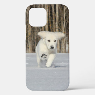 White Golden Retriever Puppy in Snow iPhone 12 Case