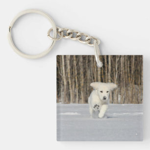 White Golden Retriever Puppy in Snow Key Ring