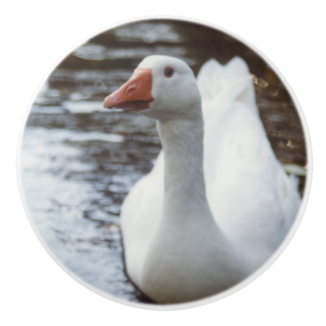 White Goose Ceramic Knob (Front)
