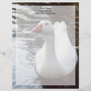 White Goose Custom Letterhead