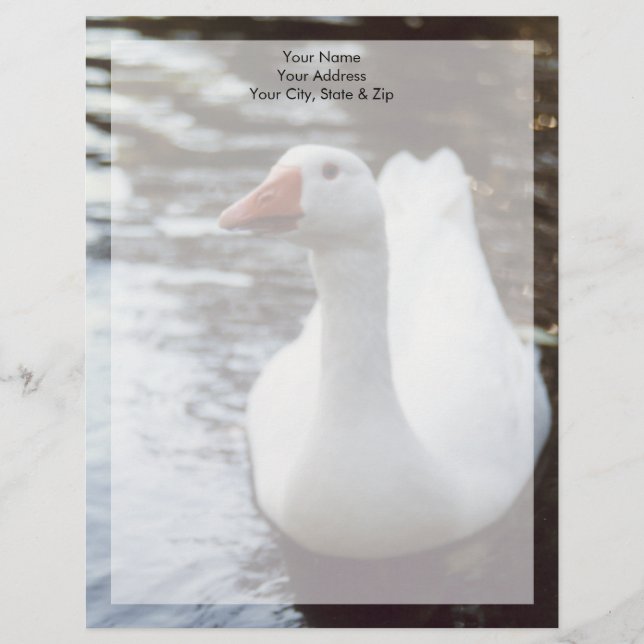 White Goose Custom Letterhead (Front)