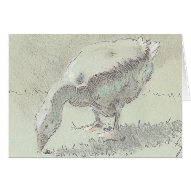 White Goose drawing (Front Horizontal)
