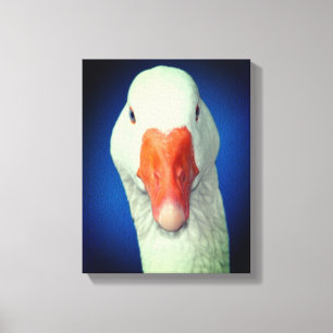 White Goose Face Farm Animal Canvas Print