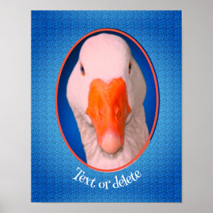 White Goose Face Farm Animal Personalised   Poster