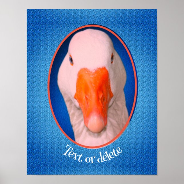 White Goose Face Farm Animal Personalised   Poster (Front)