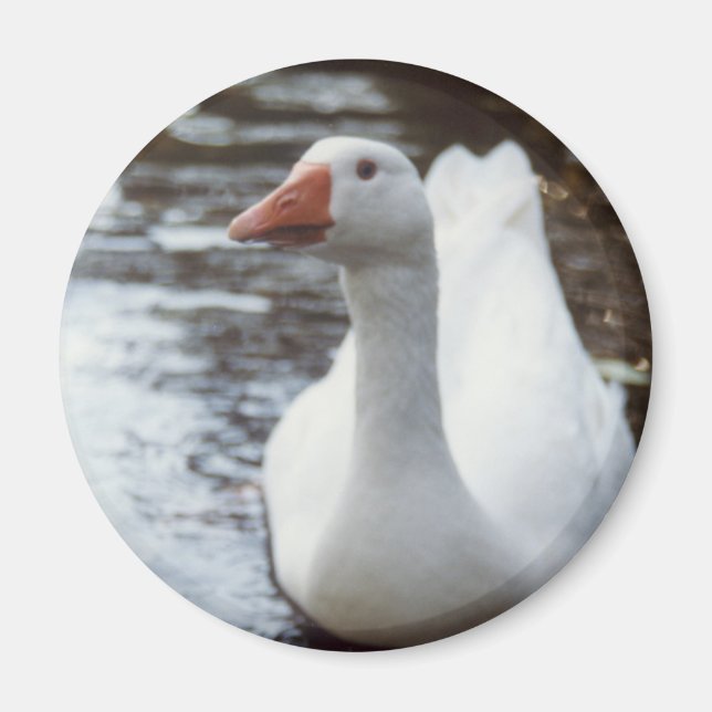 White Goose Magnet (Front)