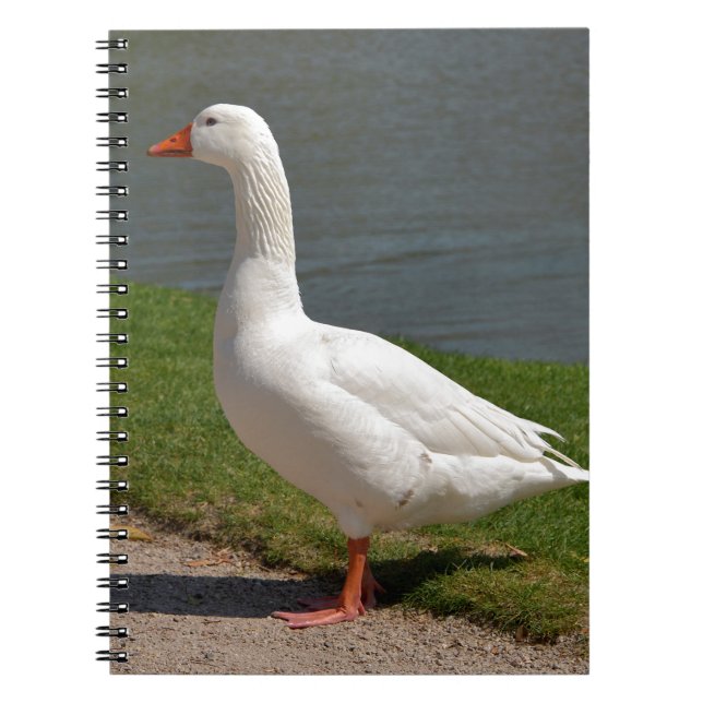 White goose near of pond notebook (Front)