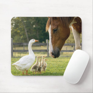 White Goose with Goslings and Horse Mouse Mat