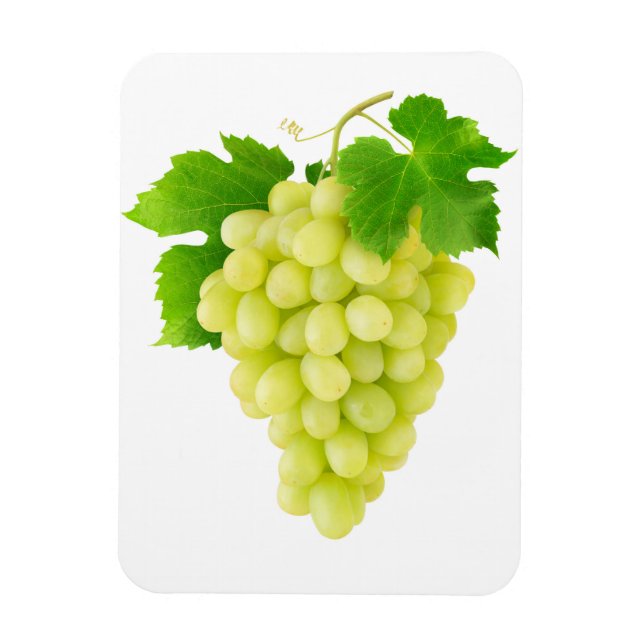 White grape magnet (Vertical)
