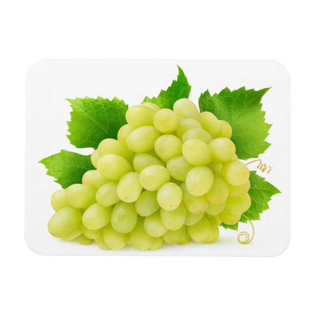 White grapes magnet (Horizontal)