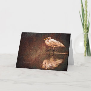 White Great Egret Bird In Water Card