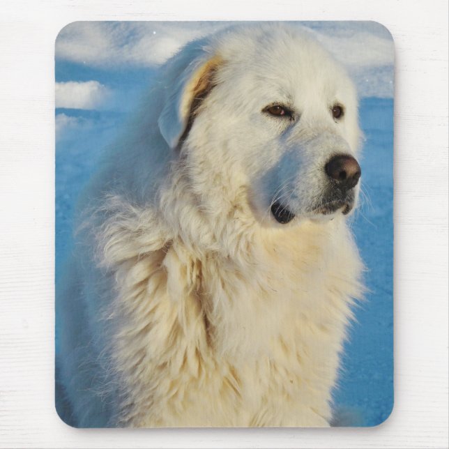 White Great Pyrenees Livestock Guardian Dog Mouse Mat (Front)