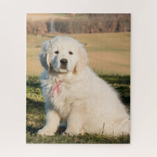 White Great Pyrenees Livestock Guardian Dog Puppy Jigsaw Puzzle
