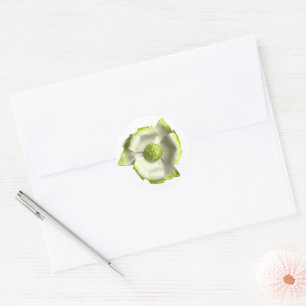 White Green Blossom Flower Summer Garden Wedding Classic Round Sticker