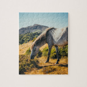 White & Grey Horse Grazing with Sun Shining Down Jigsaw Puzzle