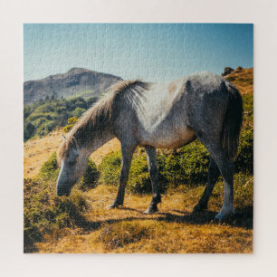 White & Grey Horse Grazing with Sun Shining Down Jigsaw Puzzle