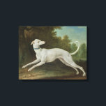 White Greyhound Dog (by Jean-Baptiste Oudry) Canvas Print<br><div class="desc">This design features a painting by the French artist Jean-Baptiste Oudry (1686–1755). It shows a lithe white greyhound leaping through a rural landscape. The dog's body is slender but muscular and strong. The greyhound is wearing a blue collar around its neck. Its tail is curled up in the air as...</div>