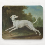 White Greyhound Dog (by Jean-Baptiste Oudry) Mouse Mat<br><div class="desc">This design features a painting by the French artist Jean-Baptiste Oudry (1686–1755). It shows a lithe white greyhound leaping through a rural landscape. The dog's body is slender but muscular and strong. The greyhound is wearing a blue collar around its neck. Its tail is curled up in the air as...</div>