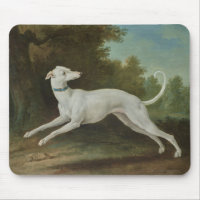White Greyhound Dog (by Jean-Baptiste Oudry)