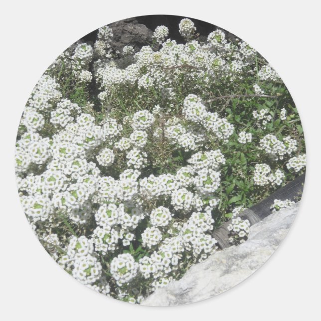 White Ground Cover Sticker (Front)