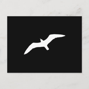 White Gull Postcard