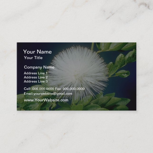 white Haele lehua (Calliandra inaequilatera) flowe Business Card (Front)