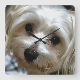 White Haired Street Dog Portrait Square Wall Clock