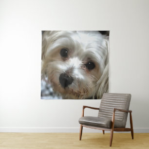 White Haired Street Dog Portrait Tapestry