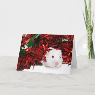 White hamster Christmas Holiday Card