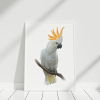 White Hand drawn Cockatoo Poster
