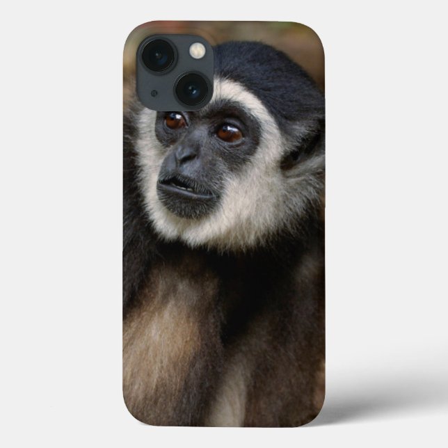White-Handed Gibbon (Hylobates Lar), Monkeyland Case-Mate iPhone Case (Back)