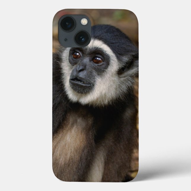 White-Handed Gibbon (Hylobates Lar), Monkeyland Case-Mate iPhone Case (Back)