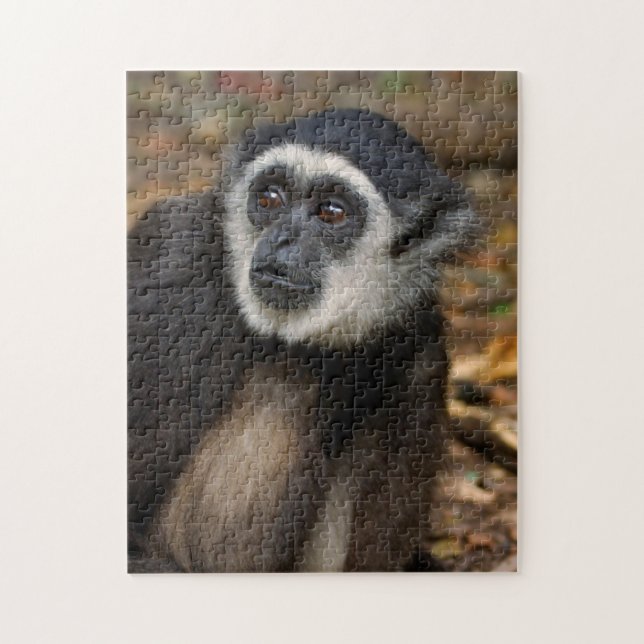 White-Handed Gibbon (Hylobates Lar), Monkeyland Jigsaw Puzzle (Vertical)