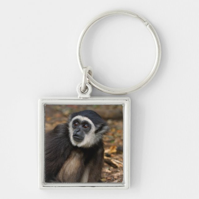 White-Handed Gibbon (Hylobates Lar), Monkeyland Key Ring (Front)