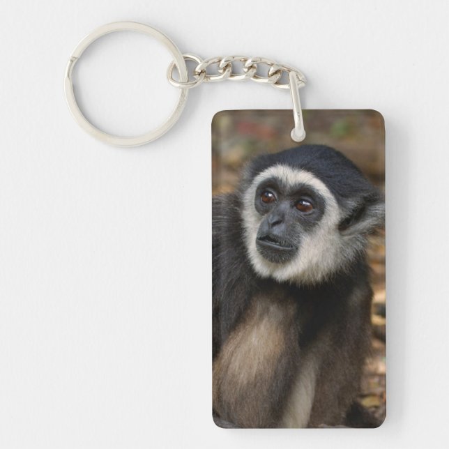 White-Handed Gibbon (Hylobates Lar), Monkeyland Key Ring (Front)
